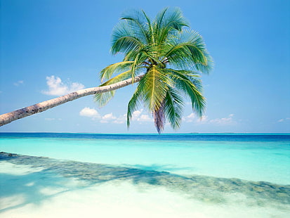 Isl tropical, isla, tropical, Fondo de pantalla HD HD wallpaper