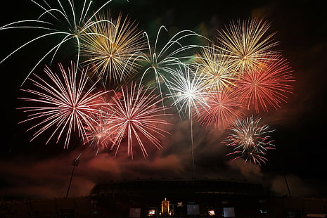 Salute, fireworks, night, fireworks display graphic, fireworks, night, salute, HD wallpaper HD wallpaper