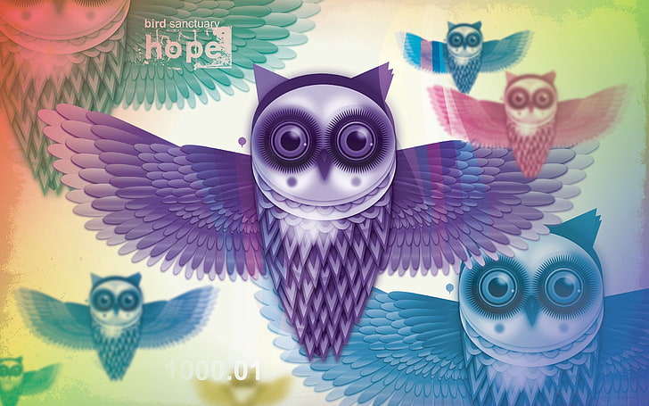 cartel de búho púrpura, búhos, pájaros, plumas, luz, Fondo de pantalla HD