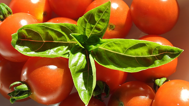 3840x2160 px fruit leaves Tomatoes Cars Chevrolet HD Art , leaves, Fruit, tomatoes, 3840x2160 px, HD wallpaper
