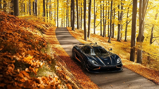 Koenigsegg Agera, samochód, las, jesień, koenigsegg agera, samochód, las, jesień, Tapety HD HD wallpaper