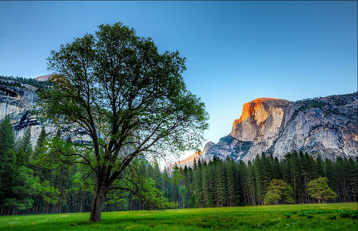 Yosemite Tramonto, foresta, paesaggi, montagne, patrimonio dell'Unesco, natura e paesaggi, Sfondo HD
