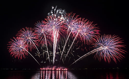 fuochi d'artificio rossi carta da parati digitale, saluto, vacanze, fuochi d'artificio, Sfondo HD HD wallpaper