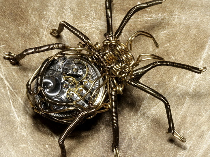 거미 시계 거미 종류