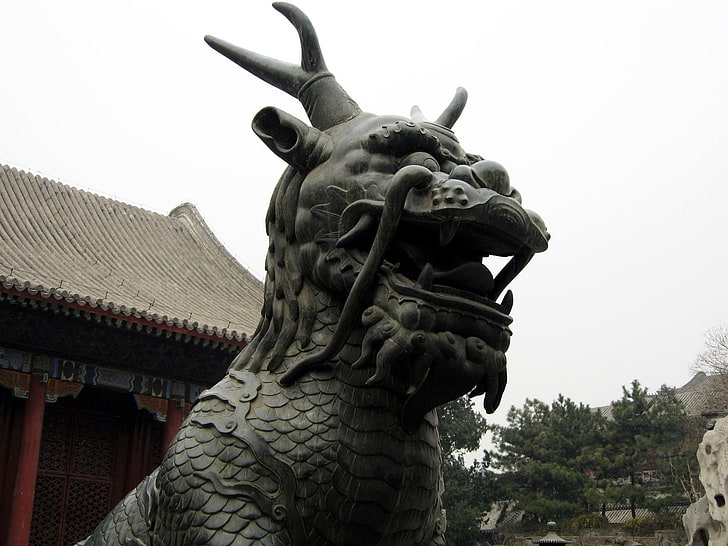 회색 동물 동상, 용, 중국, 전통, 조각, HD 배경 화면