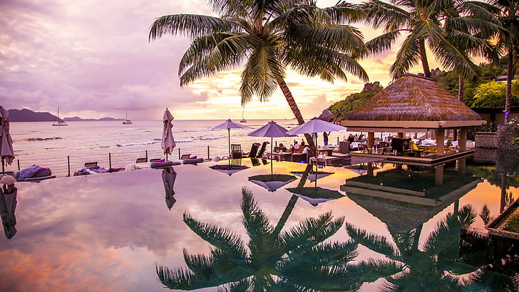 braune Gartenlaube in der Nähe von grünen Palme, Infinity Pool, 8k, 4k Tapete, La Digue, Praslin, Seychellen, Palmen, Reisen, Tourismus, HD-Hintergrundbild
