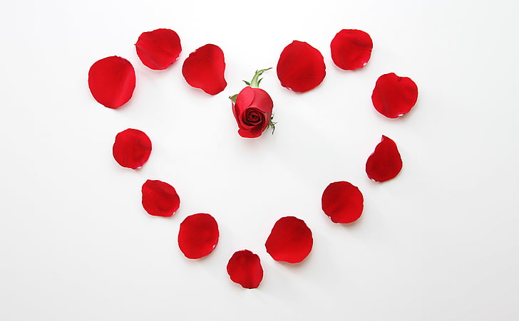 Любовь Сердце Роуз HD Wallpaper, красный лепесток цветка с формированием сердца, Любовь, Красивая, Розы, Цветы, Дизайн, Сердце, Праздник, Романтика, Лепестки, Валентина, цветочные, Композиция, День Святого Валентина, в форме сердца, HD обои