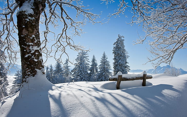 겨울 아름 다운 풍경, 두꺼운 눈, 나무, 태양, 겨울, 아름 다운, 풍경, 두꺼운, 눈, 나무, 태양, HD 배경 화면