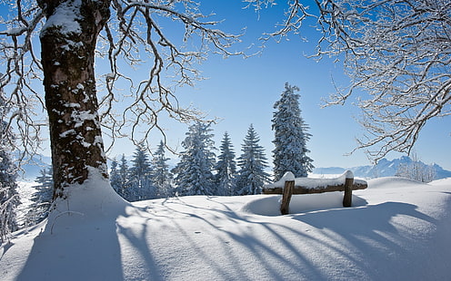 Bellissimo paesaggio invernale, neve fitta, alberi, sole, inverno, bellissimo, paesaggio, fitta, neve, alberi, sole, Sfondo HD HD wallpaper