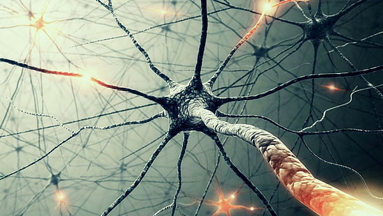 Neuronen, HD-Hintergrundbild HD wallpaper