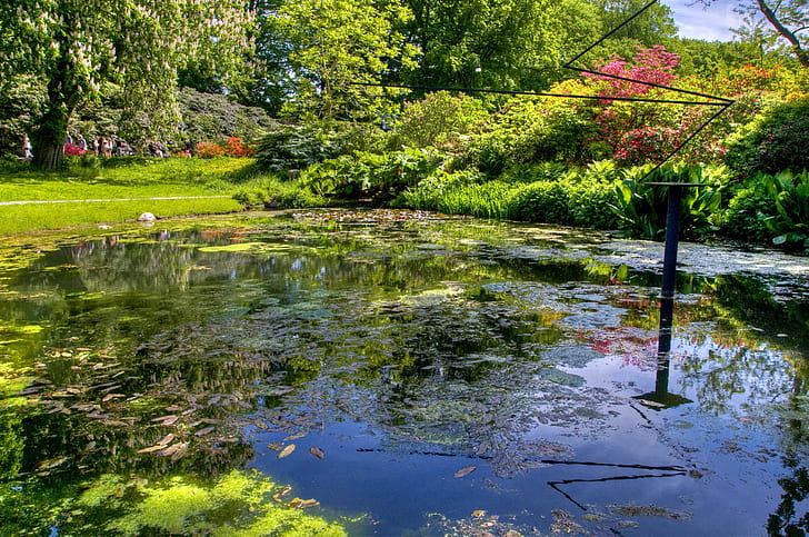 езерце, колона, пръти, фонтан, листа, ясно, HD тапет