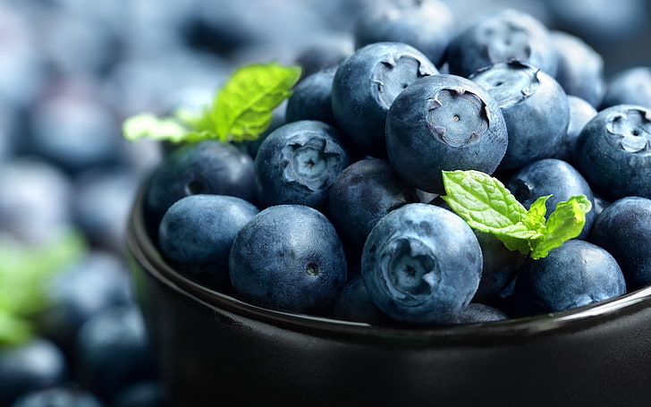 Close-up makanan buah berry blueberry, Wallpaper HD