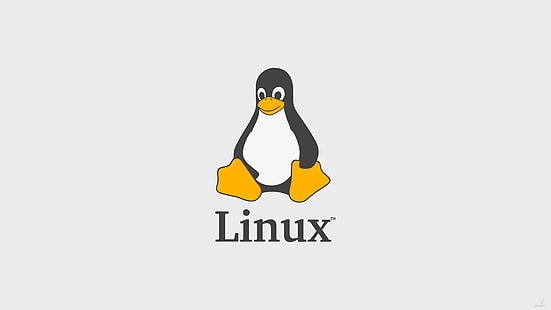 Tux, Linux, FoxyRiot, HD-Hintergrundbild HD wallpaper