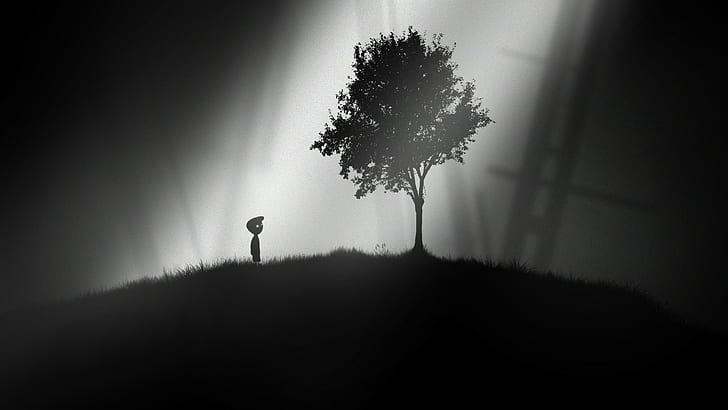 แสงแดดต้นไม้ Limbo ขาวดำ, วอลล์เปเปอร์ HD