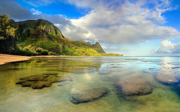 Pemandangan laut pantai, terumbu karang bawah laut, Kauai, Pantai, Pemandangan laut, Karang, Karang, Bawah air, Kauai, Wallpaper HD