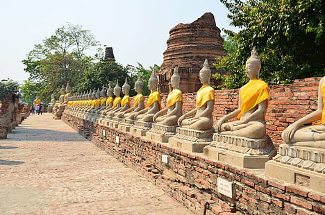 asia, ayutthaya, buddha, buddhism, religion, thailand, HD wallpaper HD wallpaper
