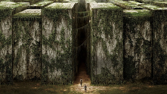 ภาพยนตร์เรื่อง The Maze Runner, วอลล์เปเปอร์ HD HD wallpaper
