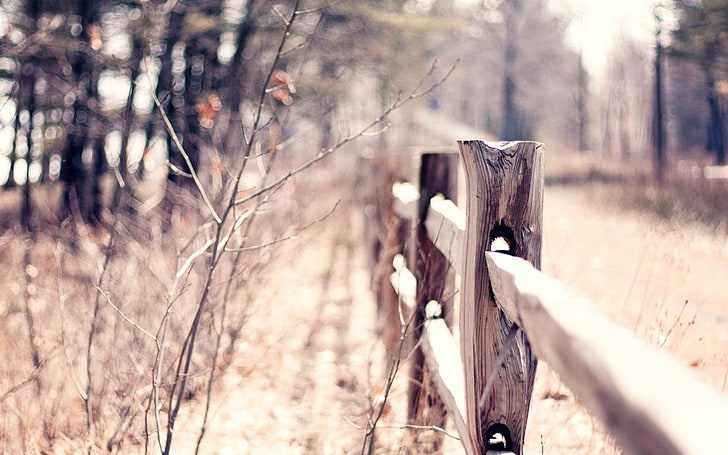 brown wooden fence, autumn, the fence, macro, fence, blur, bokeh, warm, HD wallpaper