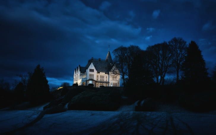 Rumah di atas bukit, rumah putih dan hitam, dunia, 1920x1200, bukit, pohon, malam, rumah besar, Wallpaper HD