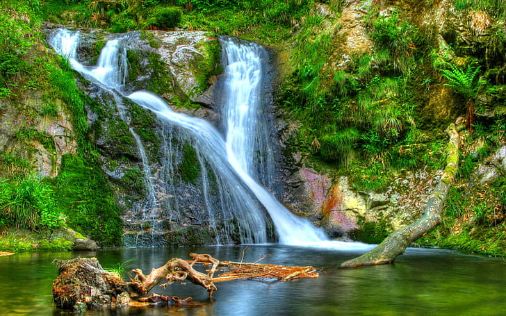 Forest Waterfall Desktop-Hintergrund 597823, HD-Hintergrundbild