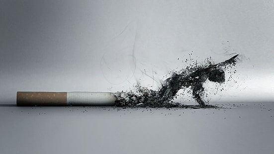 stickl de cigarro, trabalho artístico, fumaça, morrer, cigarros, arte digital, queima, fundo simples, HD papel de parede HD wallpaper