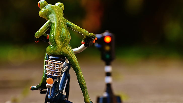 frog, bicycle, ride, cycling, traffic lights, traffic signs, HD wallpaper