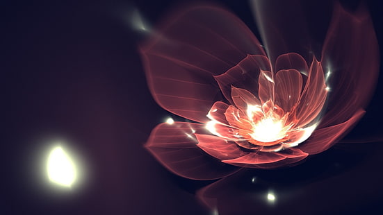 fractale, fleurs fractales, art numérique, fleurs, Fond d'écran HD HD wallpaper