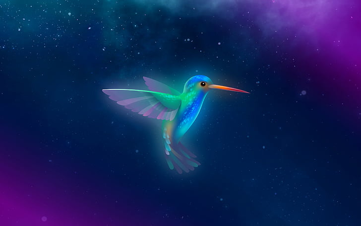 Castor bionique, oiseau, ciel étoilé, violet, bleu, Lubuntu, stock, HD, Fond d'écran HD