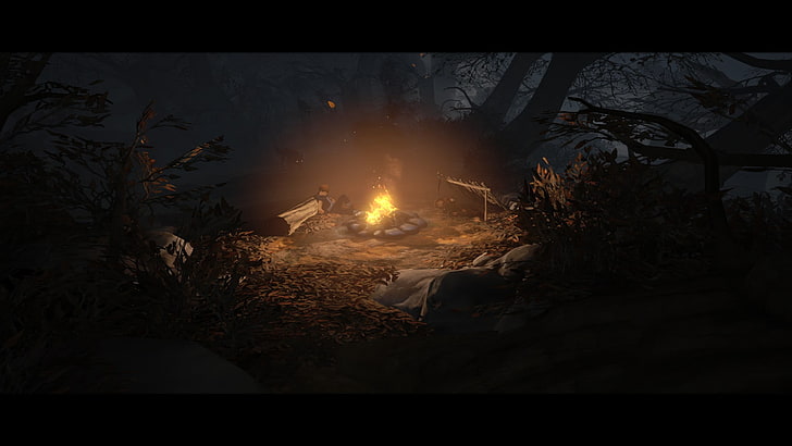 мъж, седнал на земята близо до огън в илюстрацията на гората, братя - Приказка за двама сина, огньове, HD тапет