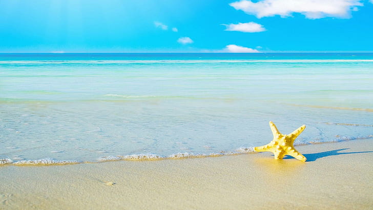 Летний пляж, желтая морская звезда, пляж, морская звезда, отдых, песок, лето, природа и пейзажи, HD обои