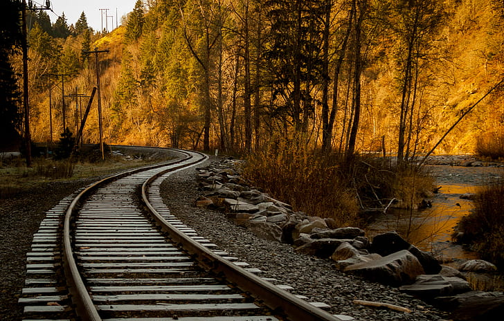 поезд железнодорожный, кроме того, на деревьях, Mt.Капюшон, Железнодорожный поезд, деревья, ноя, холод, железная дорога, природа, лес, осень, дерево, на природе, пейзаж, транспорт, HD обои