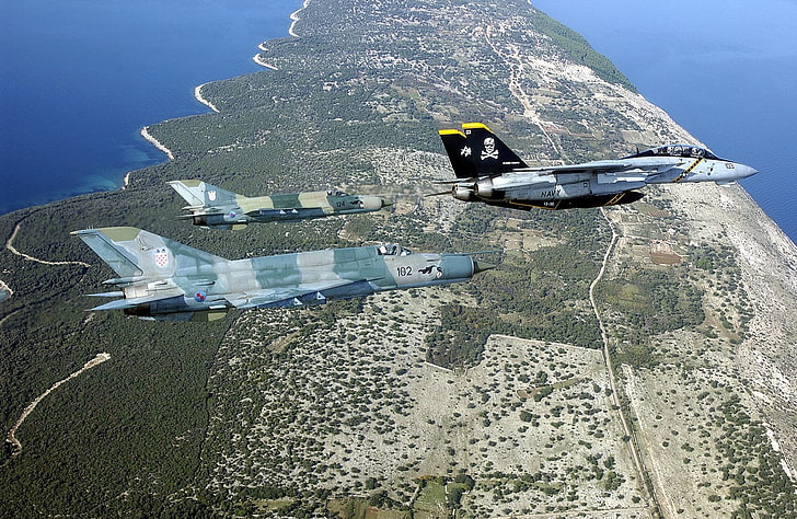 airplane, F-14 Tomcat, MiG-21, military aircraft, aircraft, vehicle, military, HD wallpaper