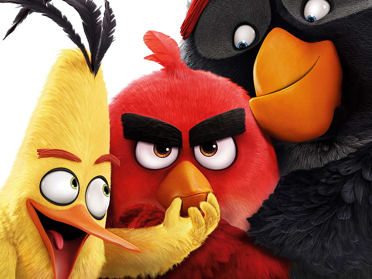 Angry Birds 2016 filme, zangado, pássaros, 2016, filme, HD papel de parede