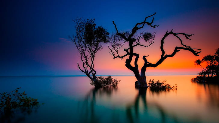 przyroda, krajobraz, drzewa, rośliny, długi czas naświetlania, zachód słońca, Rainbow Beach, Queensland, Australia, Tapety HD