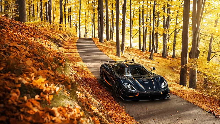 black sports car, Agera R, fall, car, leaves, trees, Koenigsegg, yellow, road, black cars, HD wallpaper