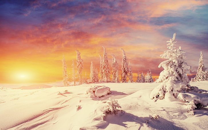 Магията на зимата Снежнобяла снежна покривка Дървета Залез Оранжево Небе Червени облаци Пейзаж Тапет Hd 3840 × 2400, HD тапет