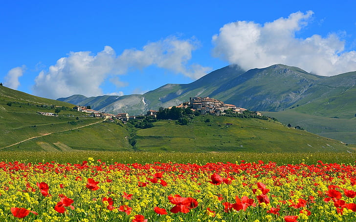 Castelluccio, Italy, mountains, poppies flowers, village, red flowers; mountains, Castelluccio, Italy, Mountains, Poppies, Flowers, Village, HD wallpaper
