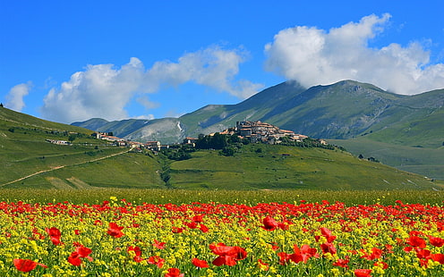Castelluccio, Itália, montanhas, flores de papoulas, vila, flores vermelhas;montanhas, castelluccio, itália, montanhas, papoulas, flores, vila, HD papel de parede HD wallpaper