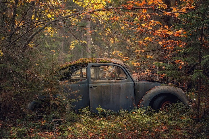 coche, ruina, vehículo, otoño, bosque, Fondo de pantalla HD