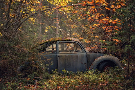 car, wreck, vehicle, fall, forest, HD wallpaper HD wallpaper