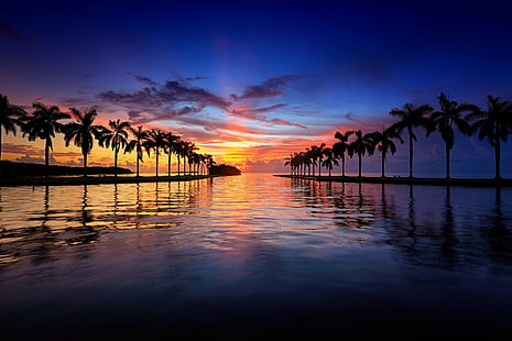 plaża, most, miasta, Floryda, wieża ratownicza, marina, miami, zabytki, noc, panorama, panoramiczny, stany, wieża, zjednoczony, miejski, USA, Tapety HD HD wallpaper