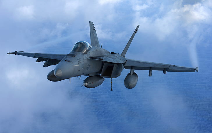 Hornet, истребитель-бомбардировщик на базе авианосца, McDonnell Douglas, FA-18, HD обои