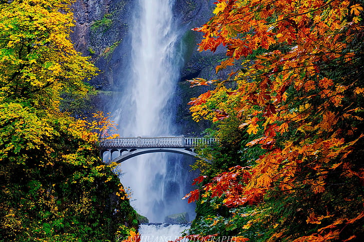 オレンジと緑の葉の間の灰色の鋼の吊り橋、滝、秋の色、灰色、鋼、吊り橋、間の橋、オレンジ、緑の葉、自然、秋、森、滝、木、川、葉、風景、屋外、風景、 HDデスクトップの壁紙