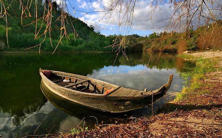 коричневая каноэ лодка, лодка, берег, озеро, ветки, пейзаж, HD обои