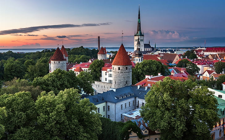 Естония, Талин, град, къщи, дървета, здрач, лято, Естония, Талин, Град, къщи, дървета, здрач, лято, HD тапет