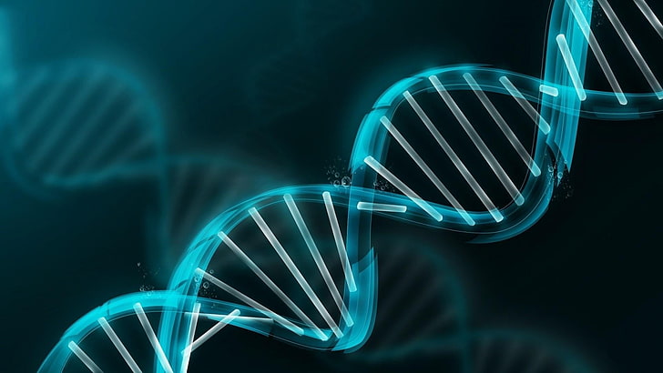 DNA, DNA-Spirale, Spirale, HD-Hintergrundbild