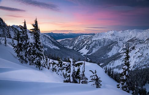 冬、雪、木、山、夜明け、谷、雪、ワシントン、カスケード山脈、ワシントン州、カスケード山脈、アーティストポイント、 HDデスクトップの壁紙 HD wallpaper
