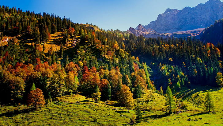 Austria Mountains, autum, tree, austria, mountains, nature and landscapes, HD wallpaper