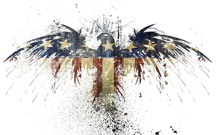 brauner und schwarzer Baumast, Adler, USA, Schmutz, Flagge, Grafik, HD-Hintergrundbild