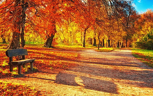 Autumn leaf park, Autumn, leaves, park, forest, Bench, Wallpaper HD HD wallpaper